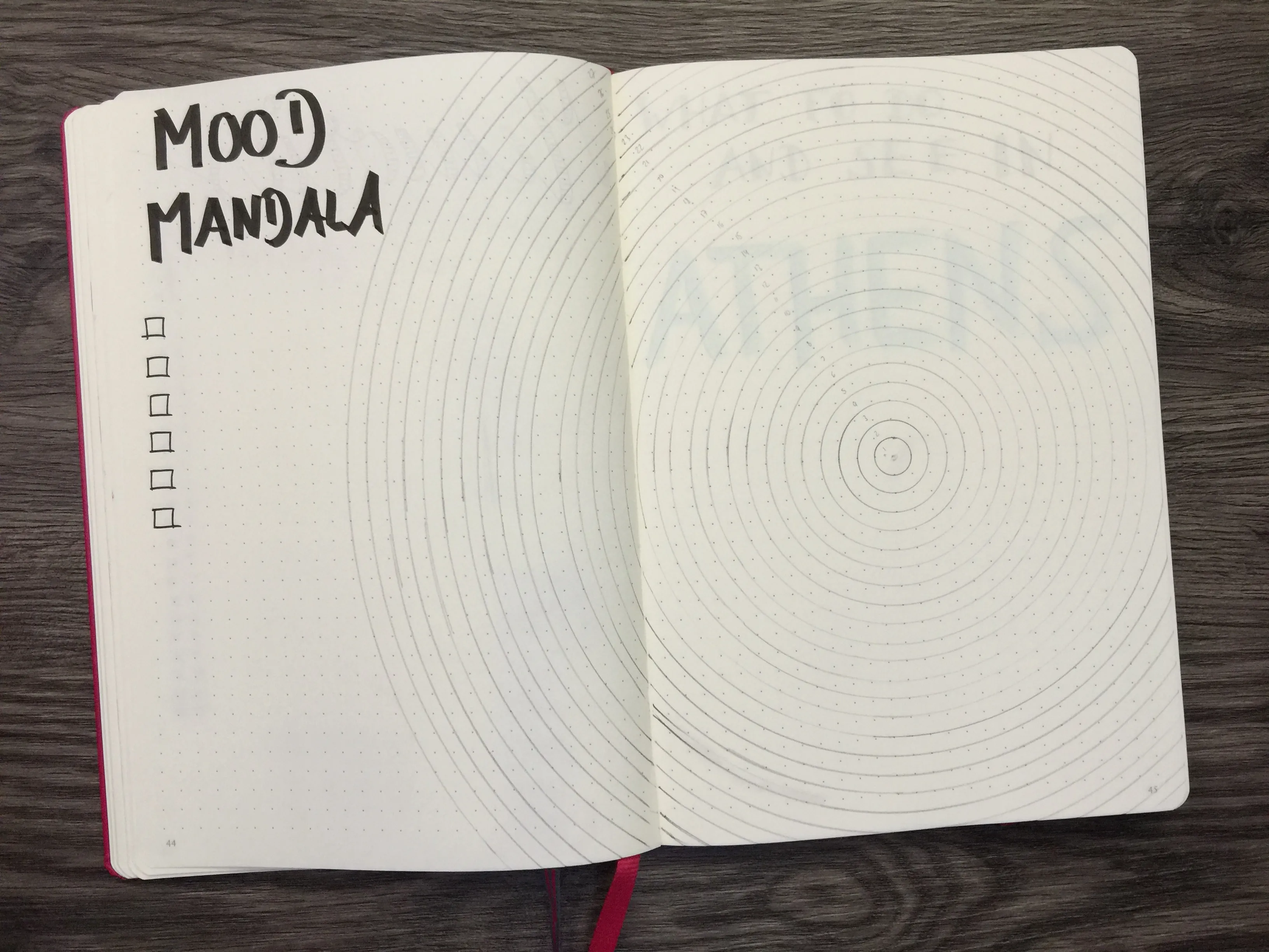 Bullet Journal Monatsübersicht Juni 2017 Mood Mandala